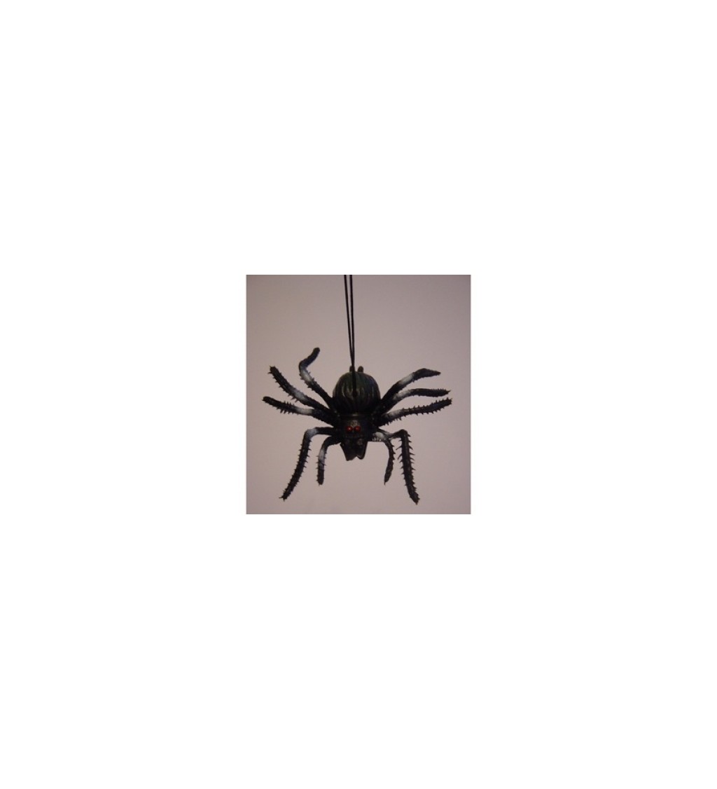 Pavouk visící na gumě